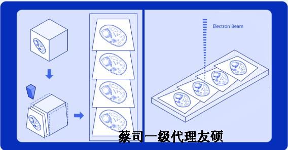 神农架蔡司神农架扫描电镜