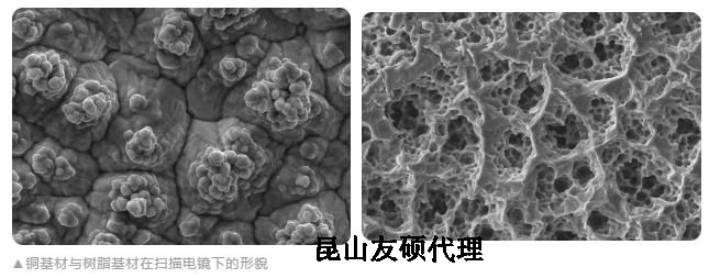 神农架蔡司神农架扫描电镜